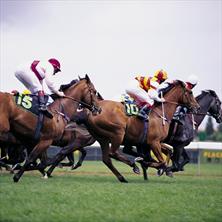 The Grand National